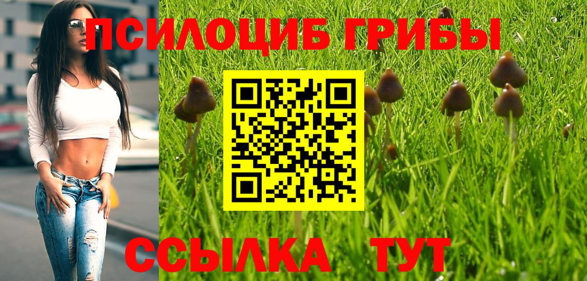 Псилоцибиновые грибы Magic Shrooms Магадан