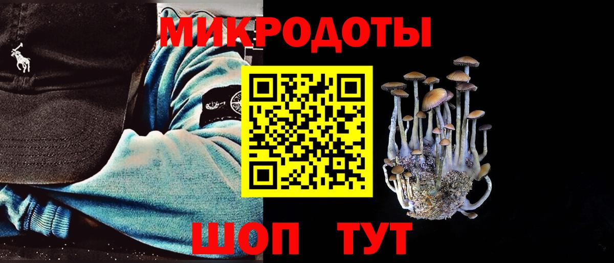 Магадан  Галлюциногенные грибы Psilocybine cubensis  Вход с VPN 
